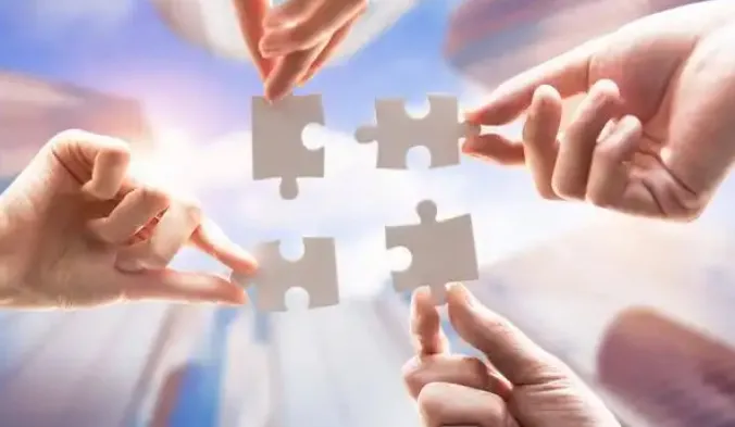 Customer Collaboration & Optimization