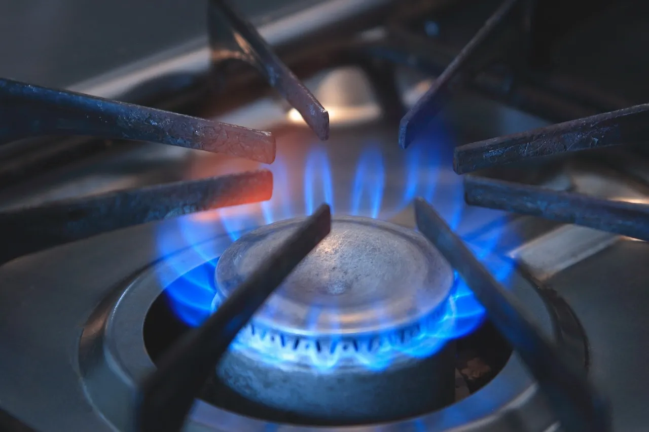 siloxane coating for heat resistance